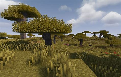 Image result for Minecraft Tree Types