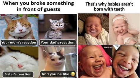 Education Meme 的图像结果