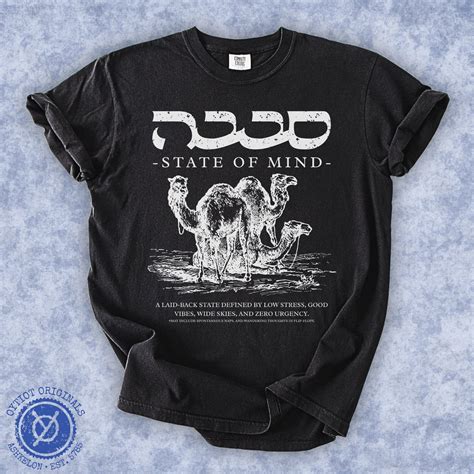 Sababa State of Mind | Israeli Slang Washed T-shirt | Oytiot Designs