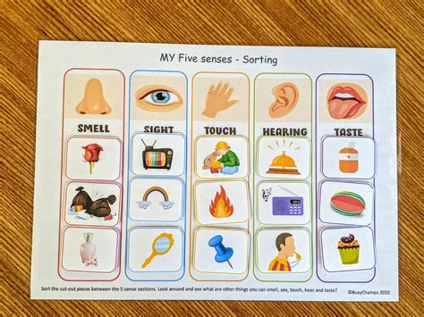 Explore Your Five Senses Printable: Free Worksheet for Kids ...