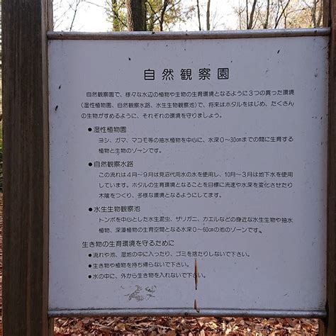 MINUMA NATURE PARK (2026) All You Need to Know BEFORE You Go (with ...