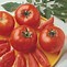 Image result for Bush Early Girl Tomato