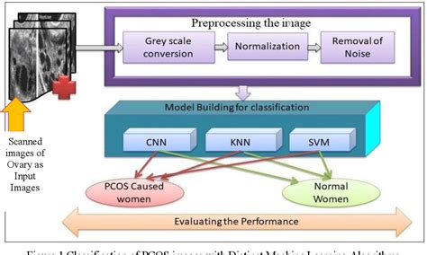 Pcos Detection System Block Diagram Deep Learning Supervised Machine Learning 的图像结果