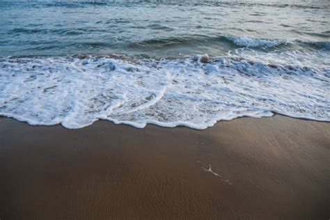 Image result for Fast-Rising Tide