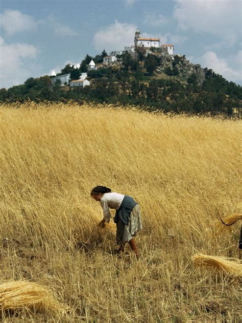 Neolithic Revolution 的图像结果