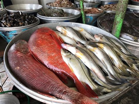 COCO BLUE BEACH RESORT (Playa San Blas) - Hotel Reviews & Photos ...