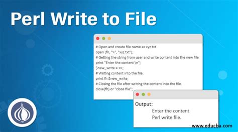 Image result for Perl File