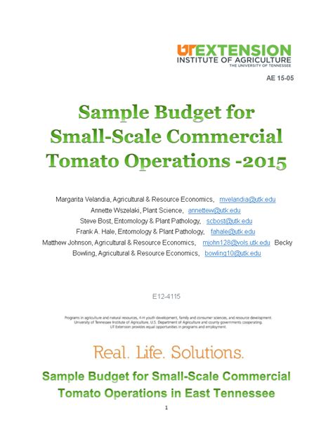 Image result for Production Budget Example