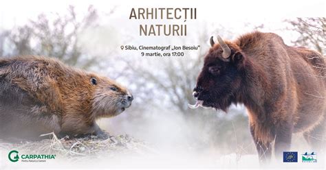 Proiecție film documentar „Arhitecții Naturii”, Sibiu, Centrul Cultural ...