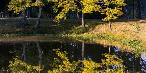 Gillett Tourism (2023): Best of Gillett, AR - Tripadvisor