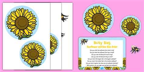 Sunflower and Bee Size Order Busy Bag Prompt Card and Resource Pack
