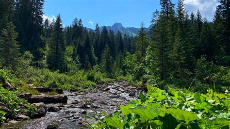 Image result for Alps Landscape