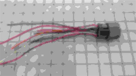 P1747 Code Ford 的图像结果