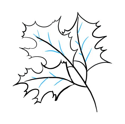 Image result for Fall Leaves Drawing