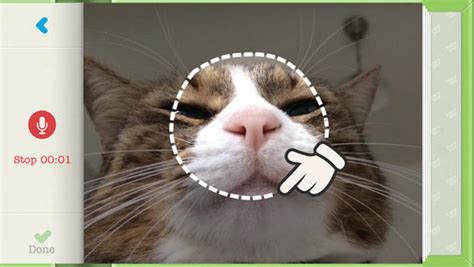 TinyTap Tutorial 的图像结果