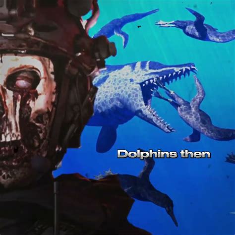 Image result for Ankylorhiza Minecraft Tutorial