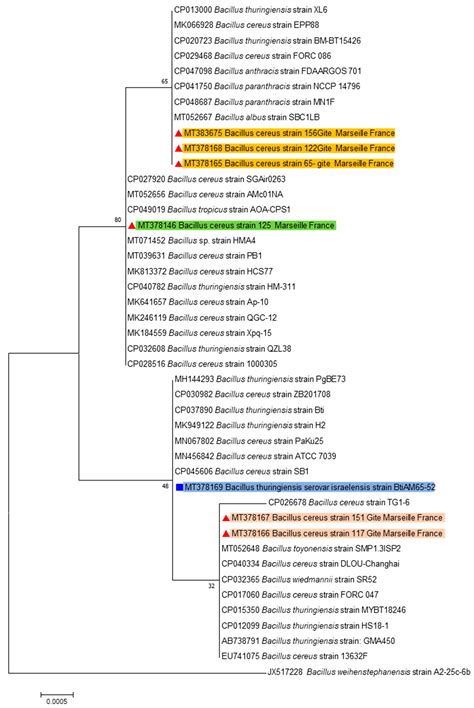 Insecticidal Activity of Bacteria from Larvae Breeding Site with ...