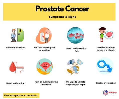 Resultado de imagen de prostate+cancer+stages