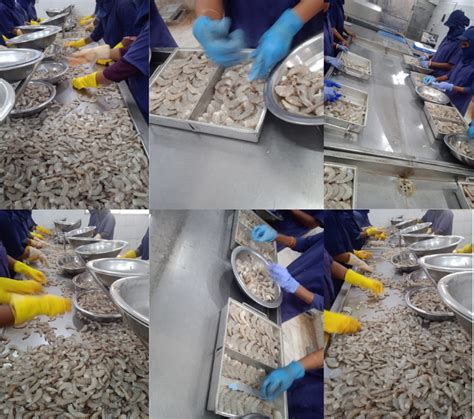 Wintry Seafood Processing & Exports