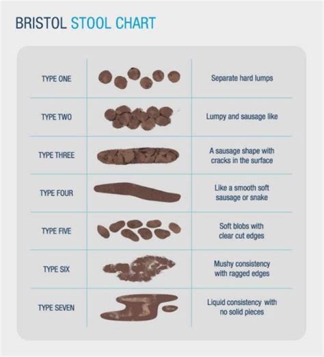 Image result for Normal Bowel Movement Chart