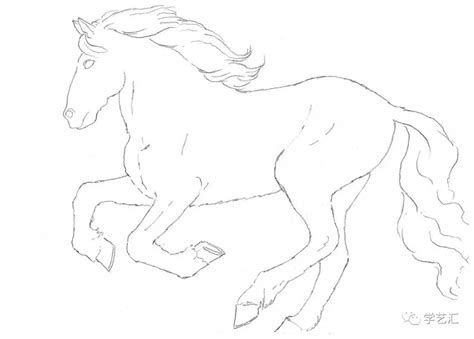 骏马简笔画 的图像结果