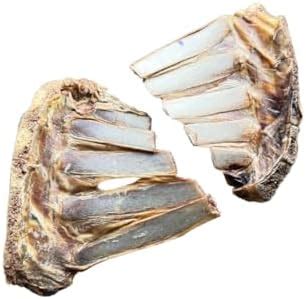 Buy FloofYou Goat Ribs Half Rack Dehydrated Bone Natural Healthy Dog ...