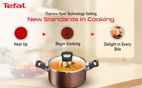 Tefal Super Cook Plus Non-Stick Stewpot with Lid/Thermo-Spot Technology ...