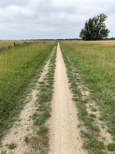 Path through Field 的图像结果