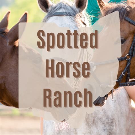 Spotted Horse Ranch - 2023 Horseback Riding in Hocking Hills - Visit ...