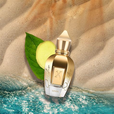 Shooting Stars Uden Overdose Xerjoff | Parfum Exquis | parfumexquis