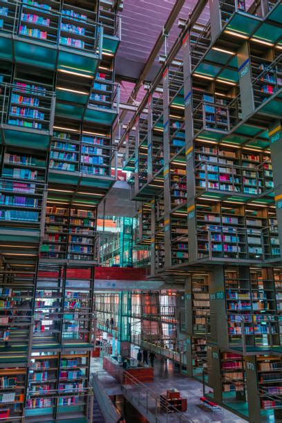 Library Perspective View 的图像结果