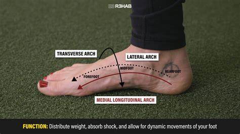 Foot and Ankle Strength - E3 Rehab