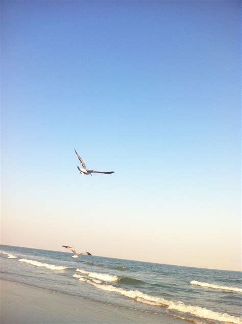 Solomon wrote, "Everything is meaningless." (Ecclesiastes 1:2) As he ...