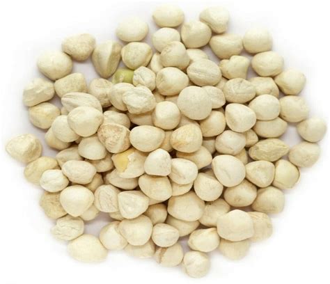 Buy Moringa Seeds Kernel Shelled 1 oz. - Clean PKM1 Variety - Edible ...