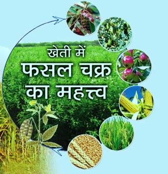 फसल चक्र अपनाने का महत्व एवं उससे होने वाले लाभ