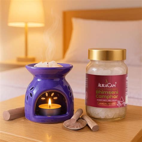 AuraCam Gold Standard Lavender Camphor Pod Set of 2