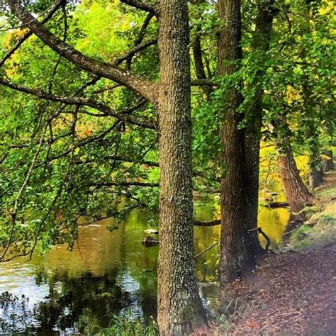 Gavleborg County Tourism (2024): All You Need to Know Before You Go