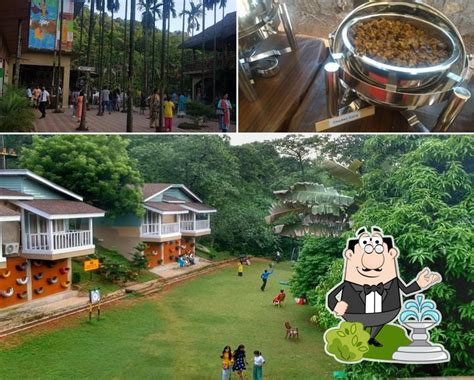 Panacea-The Village - Restaurant menu, prices and reviews