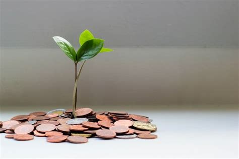 Finlec | Mutual Fund Investing Made Simple