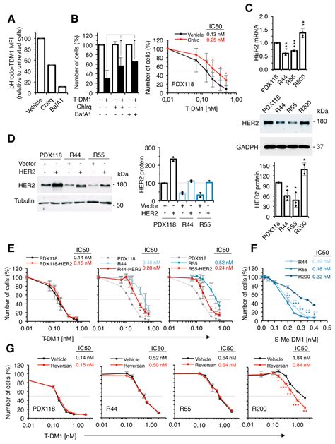The Second Generation Antibody-Drug Conjugate SYD985 Overcomes ...