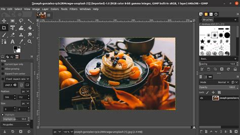 Image result for Install GIMP Plugin
