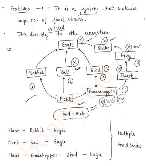 Image result for Class 10 Science Chapter 15 Notes