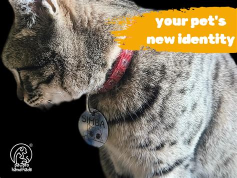 PAWPRO HANDMADE Personalized Engraved Cat Name Tag Personalized With ...
