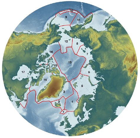 Arctic 的图像结果