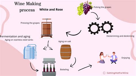 Winemaking process infographic white and rose - Gettinghotforwine