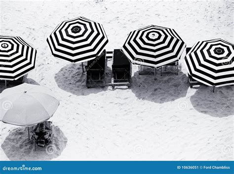 Four Black and White Patterned Beach Umbrellas Stock Image - Image of ...