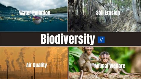 Organic Agriculture 的图像结果