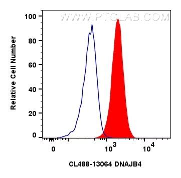 DNAJB4 antibody (CL488-13064) | Proteintech