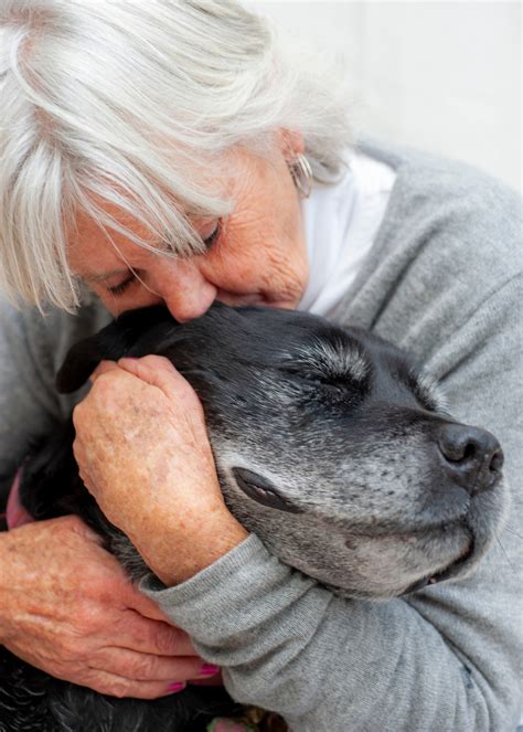 Image result for Pals Program