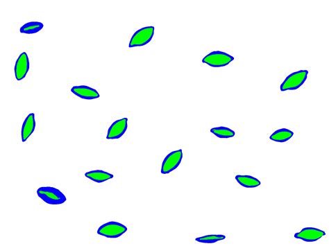 Yolo Computer Vision 的图像结果